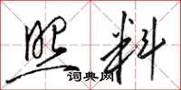 骆恒光照料草书怎么写