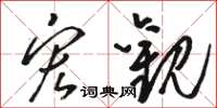骆恒光宏观草书怎么写