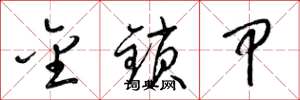 梁锦英金锁甲草书怎么写