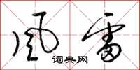 梁锦英風雷草书怎么写