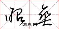 梁锦英昭垂草书怎么写