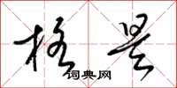 梁锦英格是草书怎么写