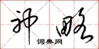 梁锦英神略草书怎么写