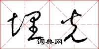 梁锦英埋光草书怎么写