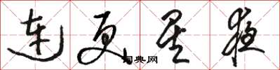 骆恒光连更星夜草书怎么写