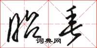 骆恒光昭垂草书怎么写
