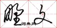 骆恒光野文草书怎么写