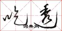 骆恒光吃透草书怎么写