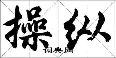 胡问遂操纵行书怎么写