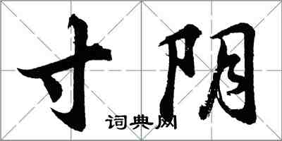胡问遂寸阴行书怎么写