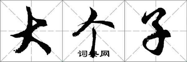 胡问遂大个子行书怎么写