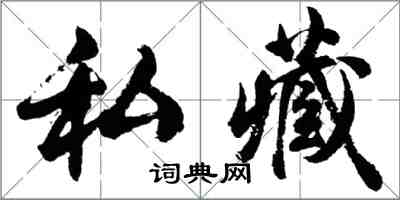 胡问遂私藏行书怎么写