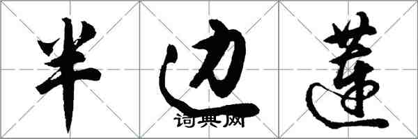 胡问遂半边莲行书怎么写