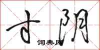 骆恒光寸阴行书怎么写