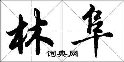 胡问遂林阜行书怎么写