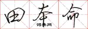 骆恒光田本命行书怎么写