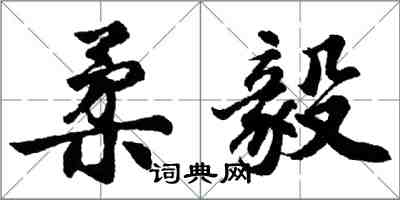 胡问遂柔毅行书怎么写
