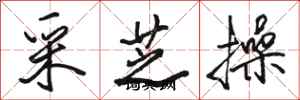 骆恒光采芝操行书怎么写