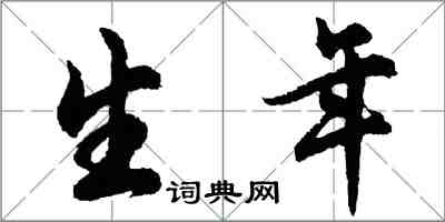 胡问遂生年行书怎么写