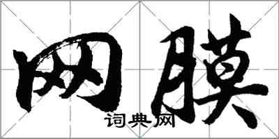 胡问遂网膜行书怎么写