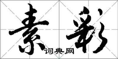 胡问遂素彩行书怎么写