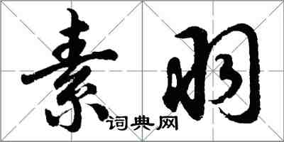 胡问遂素羽行书怎么写