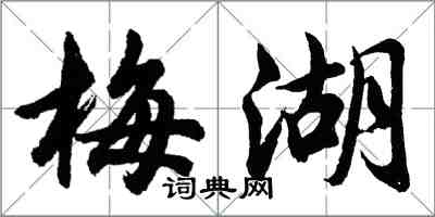 胡问遂梅湖行书怎么写