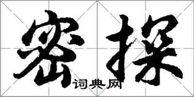 胡问遂密探行书怎么写