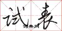 骆恒光试表行书怎么写