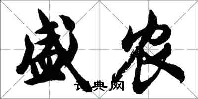 胡问遂盛农行书怎么写