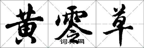 胡问遂黄零草行书怎么写