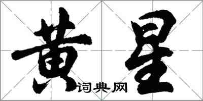 胡问遂黄星行书怎么写