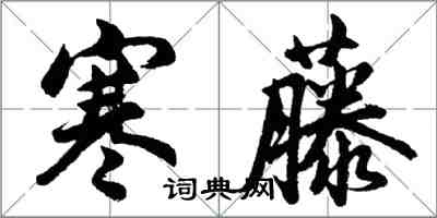 胡问遂寒藤行书怎么写