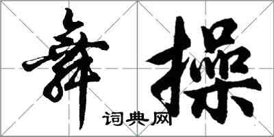 胡问遂舞操行书怎么写