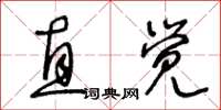 王冬龄直觉草书怎么写