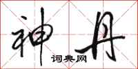 骆恒光神丹行书怎么写