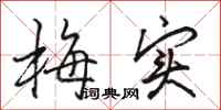 骆恒光梅实行书怎么写