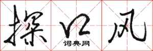 骆恒光探口风行书怎么写