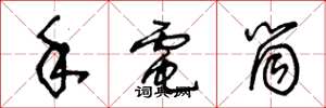 王冬龄手电筒草书怎么写