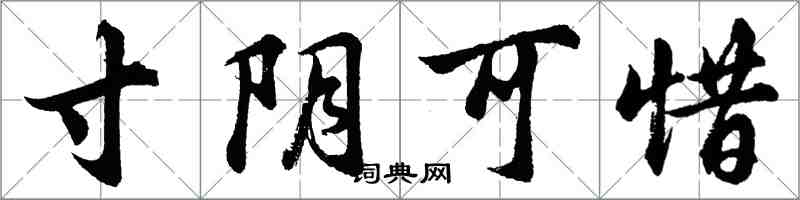 胡问遂寸阴可惜行书怎么写