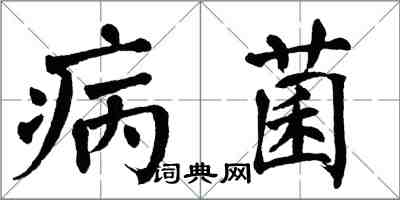 翁闿运病菌楷书怎么写