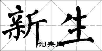 翁闿运新生楷书怎么写
