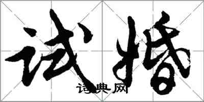 胡问遂试婚行书怎么写