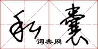王冬龄私囊草书怎么写