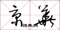 王冬龄京华草书怎么写