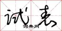 王冬龄试表草书怎么写