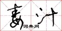 王冬龄毒汁草书怎么写