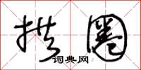 王冬龄拱圈草书怎么写