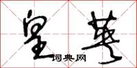 王冬龄皇英草书怎么写