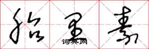 王冬龄胎里素草书怎么写